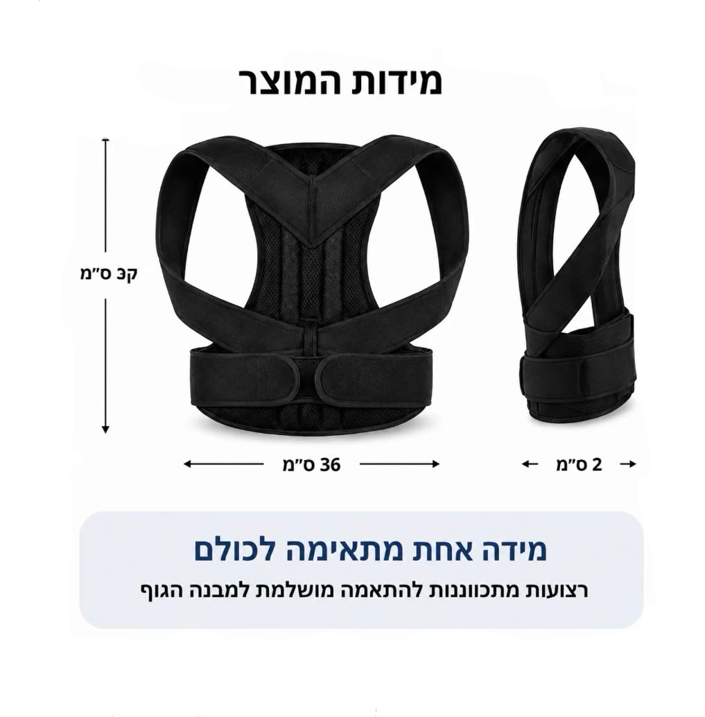 Alignback החגורת פרמיום של